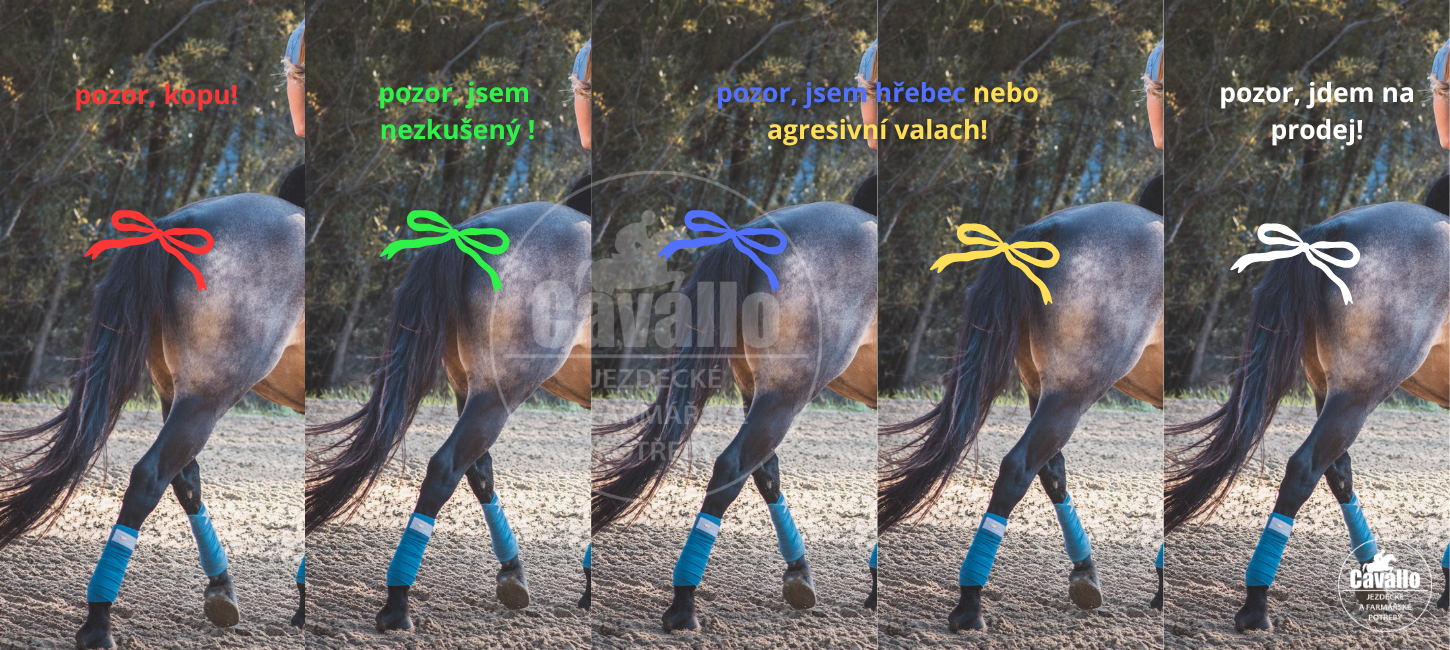 mašličky